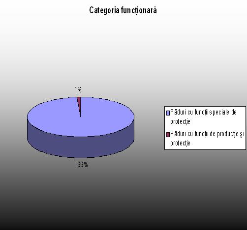 Categoria functionara