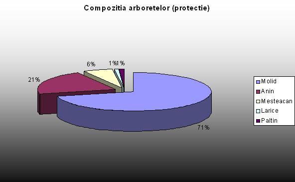 compozitia arboretelor protectie